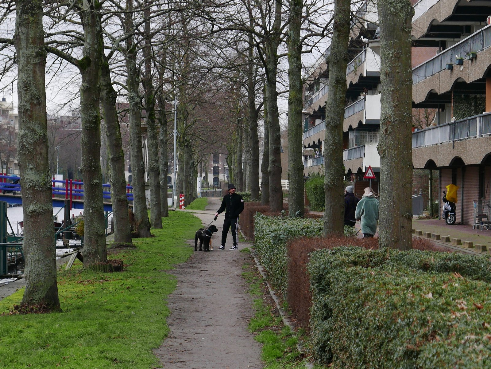 "People walking a dog on a gravel path in winter daylight"